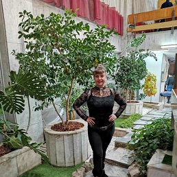 ���� ����, ��������, 58 ��� - ��������� 28 ������� 2025