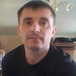 ������, 44 ����, ������������