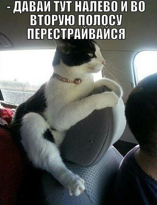 ? ,  ! - 9  2025  12:43