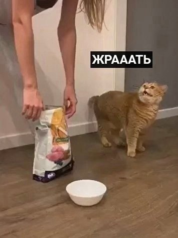 Cheers! |    - 26  2024  22:22 - 2