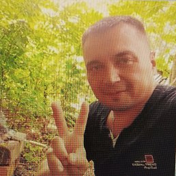 �������, 48 ���, ���������