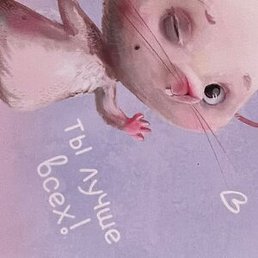 ������, ����, 37 ���