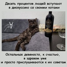 ���� ���, �������, 32 ���� - ��������� 23 ������� 2025