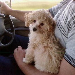 ������, ������, 54 ����