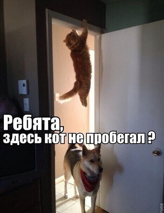 ? ,  ! - 10  2025  16:47