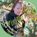 ���� ������, ���������, 64 ���� - ��������� 25 ����� 2026