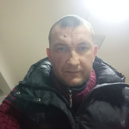 ����, ������, 40 ���