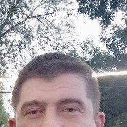 , 44, 