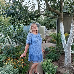 �., ���������