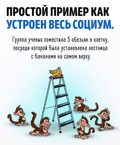 ����� ������� � ��������� ������