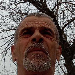 Alexandr, �������, 64 ����