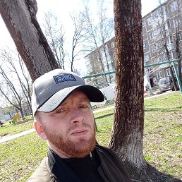 ������, 29 ���, ����