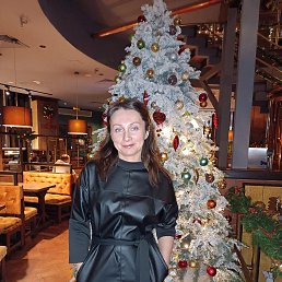 ���� �����, ������ - ��������� 8 ������� 2024