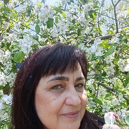 ���� �������, ����������, 50 ��� - ��������� 16 ��� 2026
