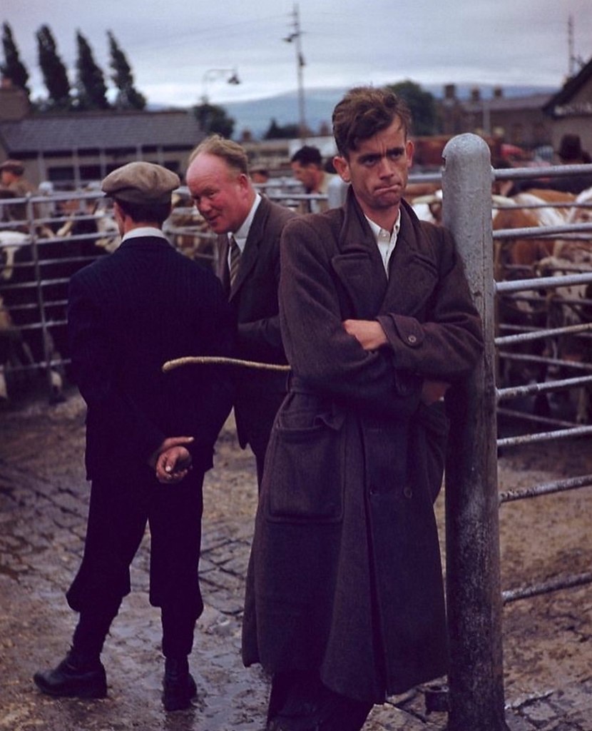 a  1954- .