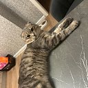  , -, 31  -  31  2025    