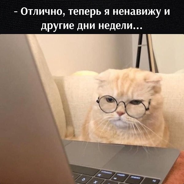       - 11  2023  12:35 - 4