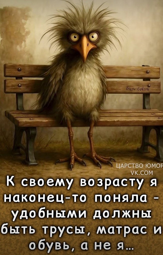  - 20  2025  00:21
