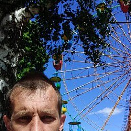 ����, 36 ���, ������