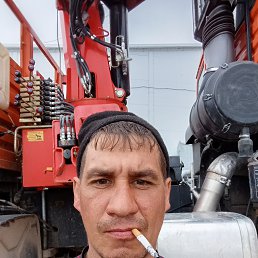 , 36, 