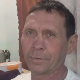 ��������, �������-����������, 48 ���