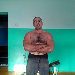 �������, 48 ���, ���������