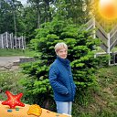 ���� �����, �����������, 66 ��� - ��������� 12 ���� 2025 � ������ ���� ����������