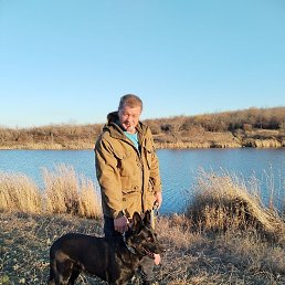 ����, ������������, 52 ����