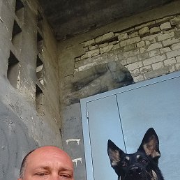 , 38, 