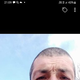 ������, ������, 46 ���