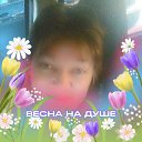 ���� �������, ������, 62 ���� - ��������� 11 ������ 2026 � ������ ���� ����������