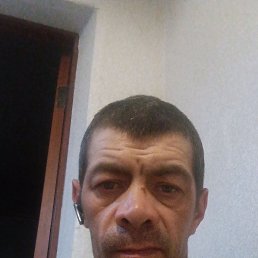 ����, 41 ���, �������