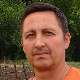 ��������, ����, 48 ���