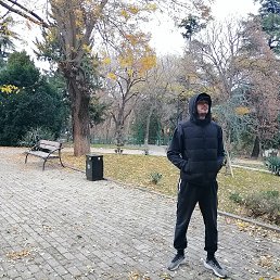 Temur, 33, 