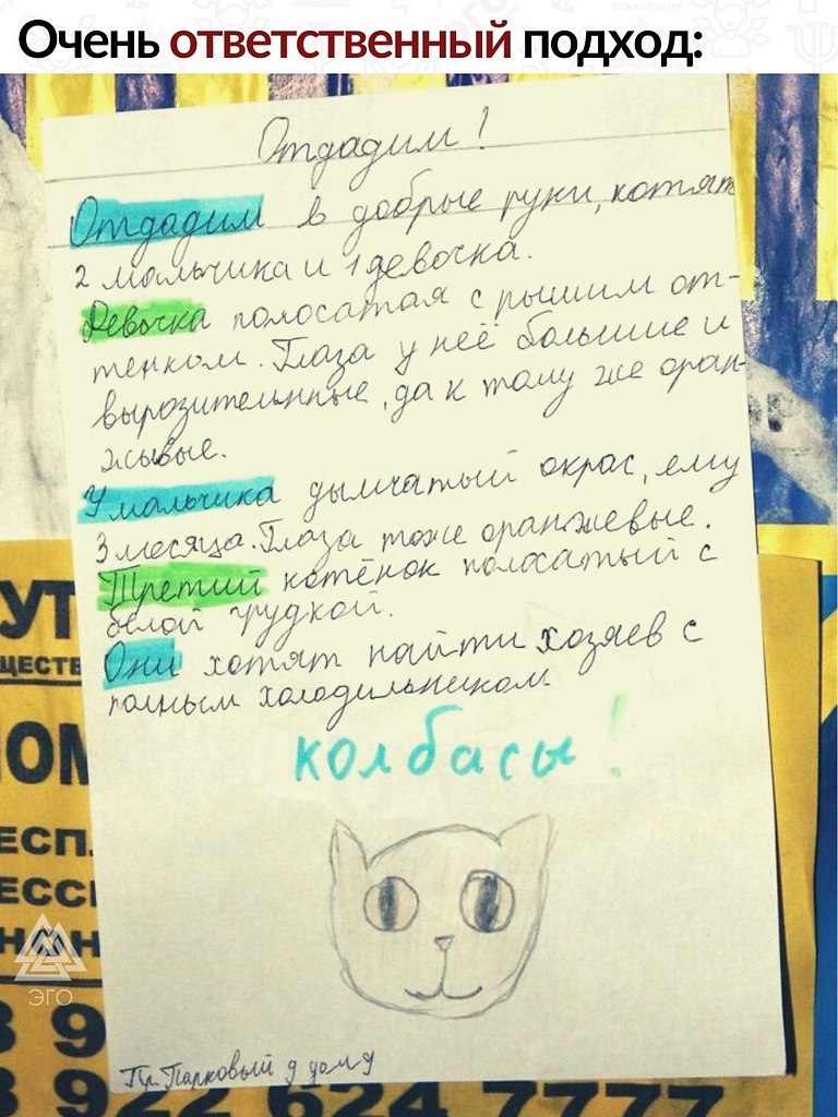 , ,  ,   .     !)