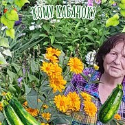 людмила, 76 лет, Хабаровск людмила, 76 лет, Хабаровск