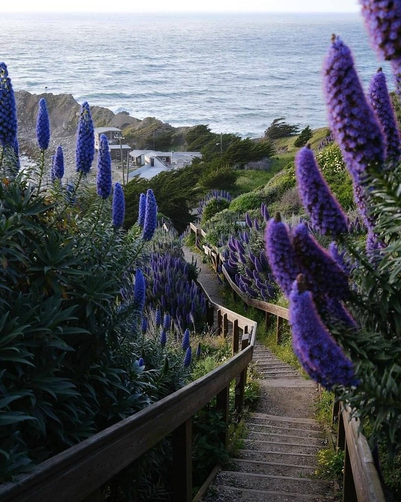 Как красиво