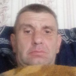 �����, ������, 41 ���