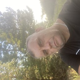 �������, ����, 44 ����