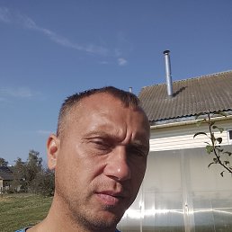 , 37, 