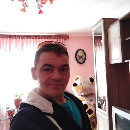 , 41 , 