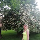  S*******, , 50  -  16  2024