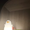 ���� �����, ������ - ��������� 13 ���� 2024 � ������ ���� ����������