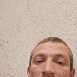 , 41, -