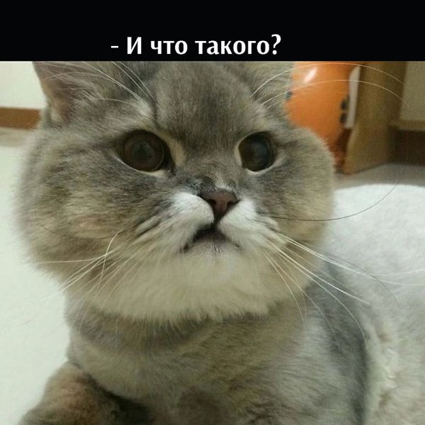       - 5  2025  17:40 - 3