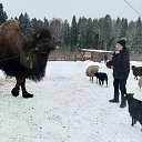  , -, 64  -  11  2025    