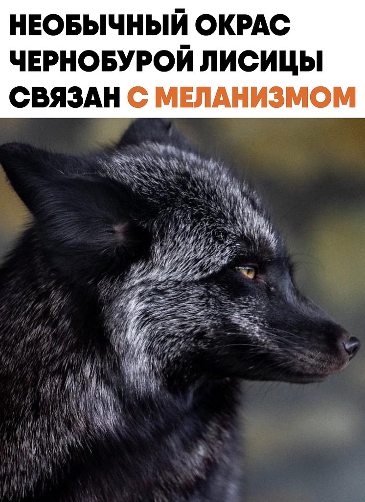 ���������� ������ � ������ ����� ����� ����� ������ � ��������� �������. Ÿ ���� ������ � ...