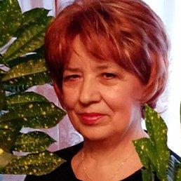 �������, �������, 74 ����