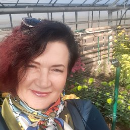 , 62, 