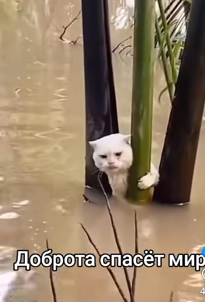   ... ,  -  ,  